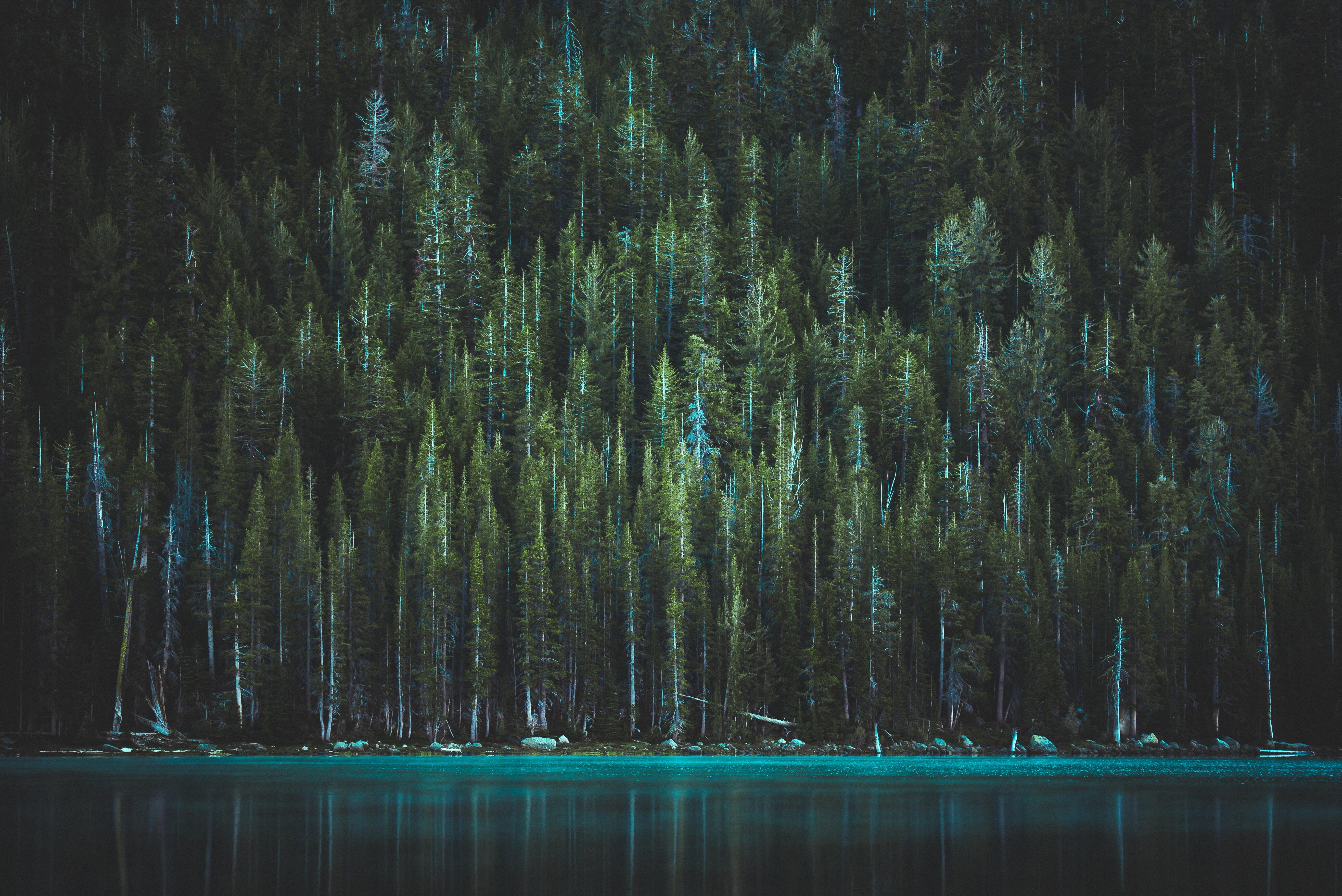 casey-horner-wkjiek4qsnk-unsplash.jpg